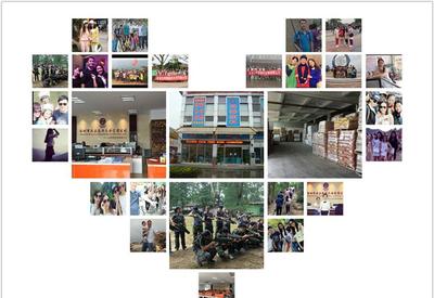 8G黃、8G熒光黃、5#綠、熒光黃8G等塑料熒光顏料 鞍山七彩惠豐標準詳解及市場采購指南